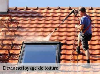 Devis nettoyage de toiture  port-sainte-foy-ponchapt-33220 MM Rénovation toiture 33