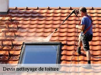 Devis nettoyage de toiture  abzac-33230 MM Rénovation toiture 33