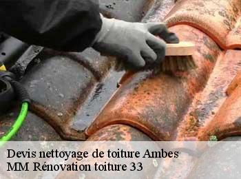 Devis nettoyage de toiture  ambes-33810 MM Rénovation toiture 33