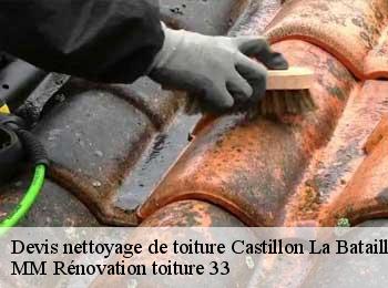 Devis nettoyage de toiture  castillon-la-bataille-33350 MM Rénovation toiture 33