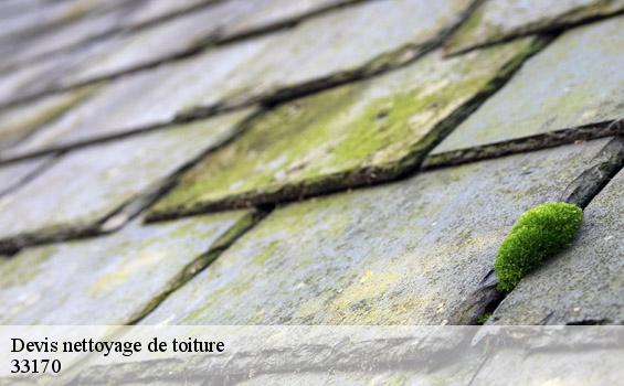 Devis nettoyage de toiture  gradignan-33170 MM Rénovation toiture 33