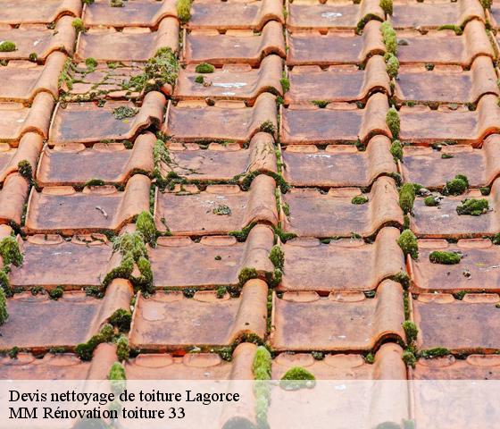 Devis nettoyage de toiture  lagorce-33230 MM Rénovation toiture 33