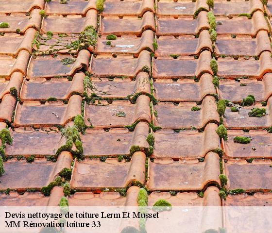 Devis nettoyage de toiture  lerm-et-musset-33840 MM Rénovation toiture 33