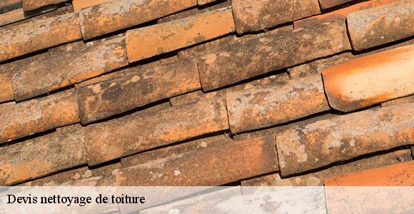 Devis nettoyage de toiture  merignac-33700 MM Rénovation toiture 33
