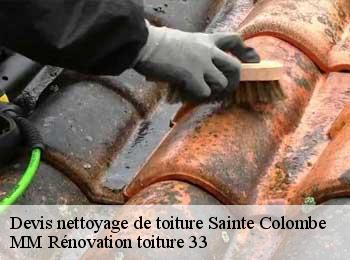 Devis nettoyage de toiture  sainte-colombe-33350 MM Rénovation toiture 33