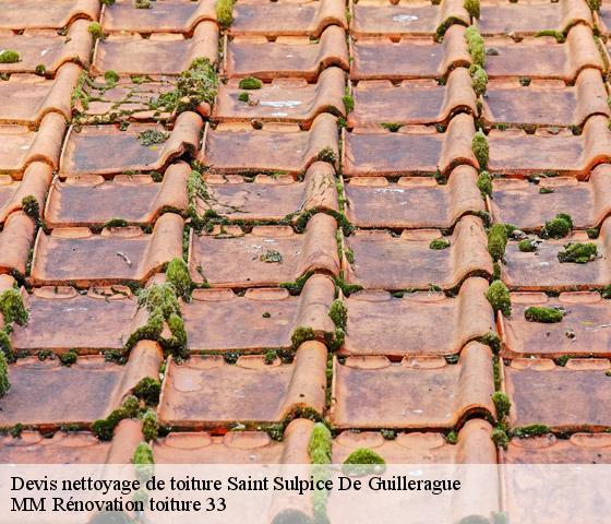 Devis nettoyage de toiture  saint-sulpice-de-guillerague-33580 MM Rénovation toiture 33