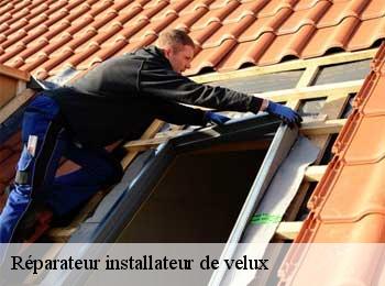 Réparateur installateur de velux  aillas-33124 MM Rénovation toiture 33