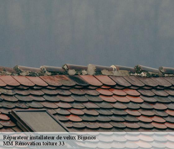 Réparateur installateur de velux  biganos-33380 MM Rénovation toiture 33