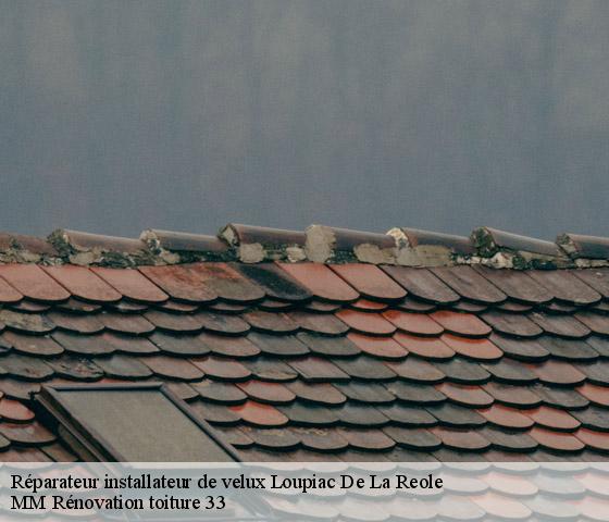 Réparateur installateur de velux  loupiac-de-la-reole-33190 MM Rénovation toiture 33