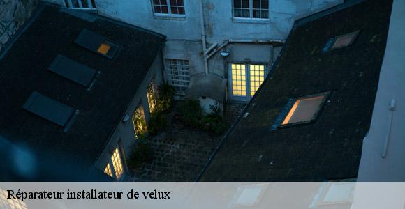 Réparateur installateur de velux  loupiac-de-la-reole-33190 MM Rénovation toiture 33