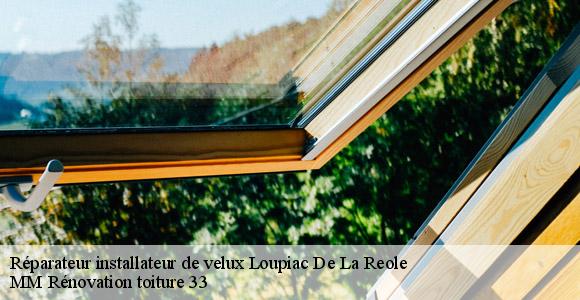 Réparateur installateur de velux  loupiac-de-la-reole-33190 MM Rénovation toiture 33