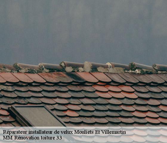 Réparateur installateur de velux  mouliets-et-villemartin-33350 MM Rénovation toiture 33
