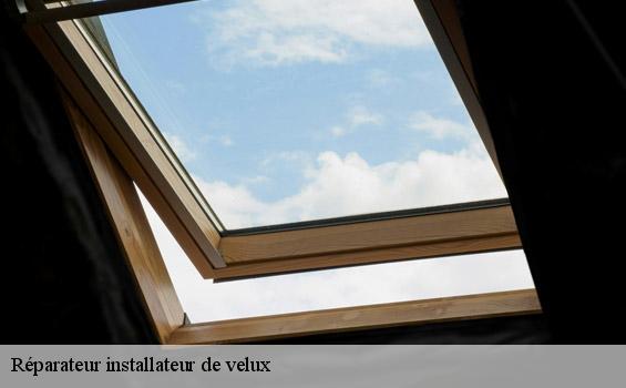 Réparateur installateur de velux  pessac-33600 MM Rénovation toiture 33