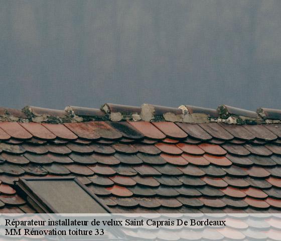 Réparateur installateur de velux  saint-caprais-de-bordeaux-33880 MM Rénovation toiture 33