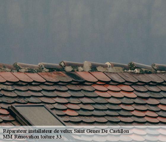Réparateur installateur de velux  saint-genes-de-castillon-33350 MM Rénovation toiture 33