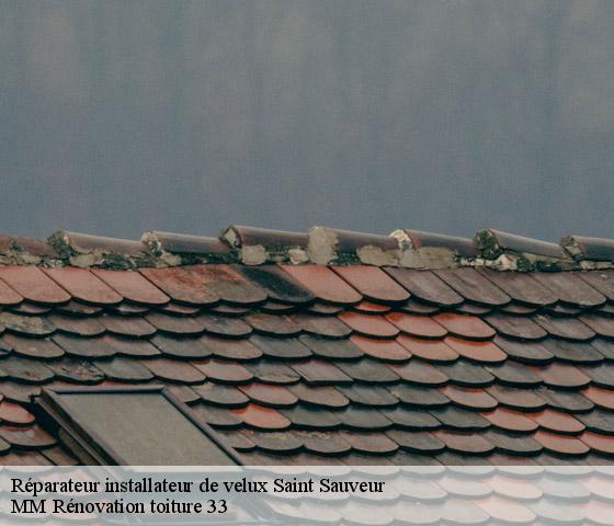 Réparateur installateur de velux  saint-sauveur-33250 MM Rénovation toiture 33