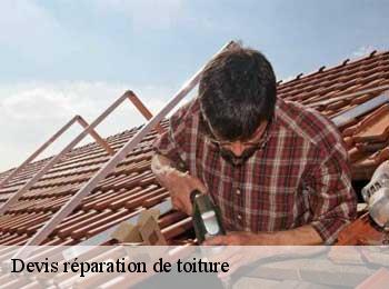 Devis réparation de toiture  arbis-33760 MM Rénovation toiture 33