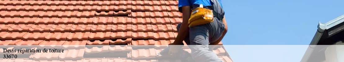 Devis réparation de toiture  blesignac-33670 MM Rénovation toiture 33