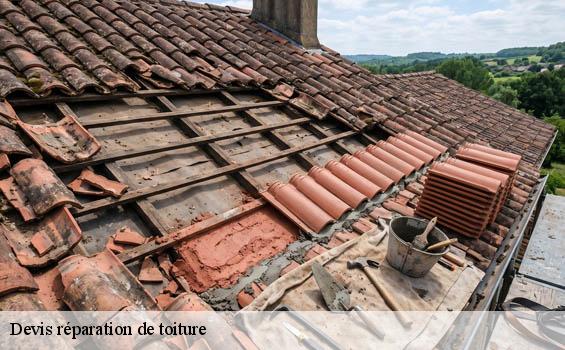 Devis réparation de toiture  maransin-33230 MM Rénovation toiture 33