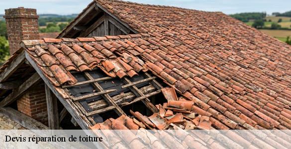 Devis réparation de toiture  maransin-33230 MM Rénovation toiture 33