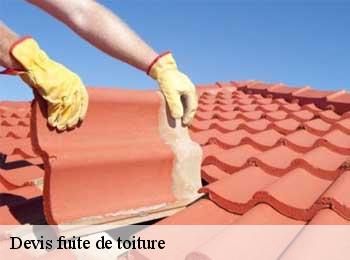 Devis fuite de toiture  asques-33240 MM Rénovation toiture 33