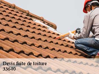 Devis fuite de toiture  ayguemorte-les-graves-33640 MM Rénovation toiture 33