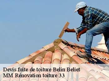 Devis fuite de toiture  belin-beliet-33830 MM Rénovation toiture 33