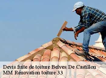 Devis fuite de toiture  belves-de-castillon-33350 MM Rénovation toiture 33