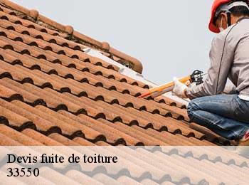 Devis fuite de toiture  capian-33550 MM Rénovation toiture 33