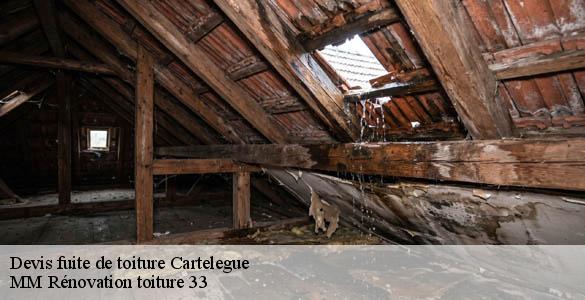 Devis fuite de toiture  cartelegue-33390 MM Rénovation toiture 33