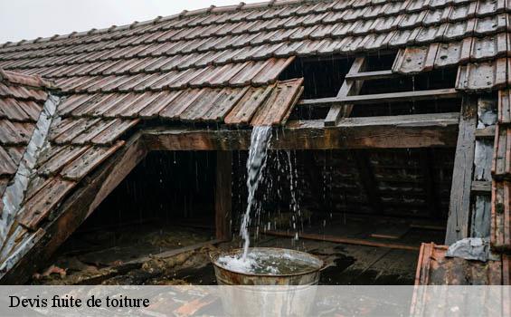 Devis fuite de toiture  eysines-33320 MM Rénovation toiture 33