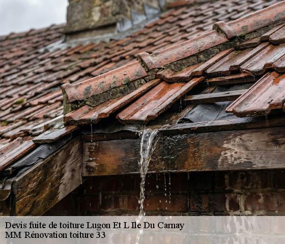 Devis fuite de toiture  lugon-et-l-ile-du-carnay-33240 MM Rénovation toiture 33