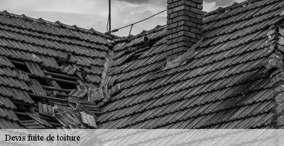 Devis fuite de toiture  savignac-de-l-isle-33910 MM Rénovation toiture 33