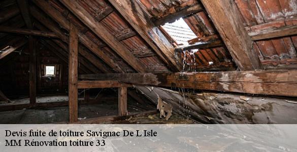 Devis fuite de toiture  savignac-de-l-isle-33910 MM Rénovation toiture 33