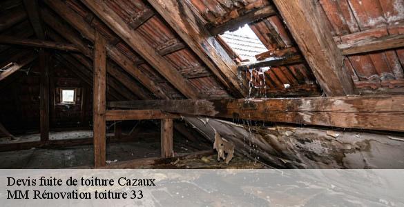 Devis fuite de toiture  cazaux-33260 MM Rénovation toiture 33