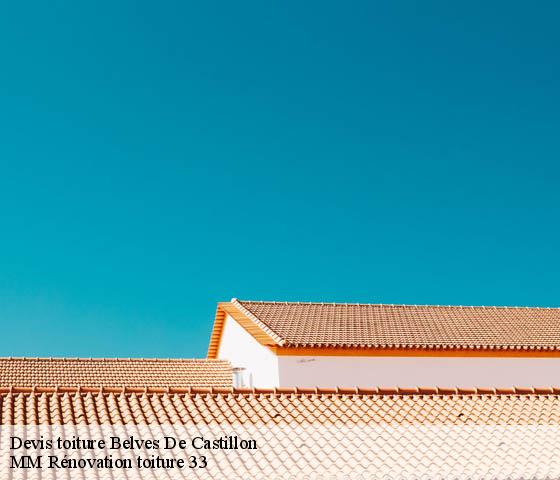 Devis toiture  belves-de-castillon-33350 MM Rénovation toiture 33