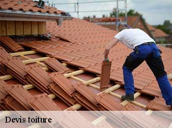 Devis toiture  sigalens-33690 MM Rénovation toiture 33