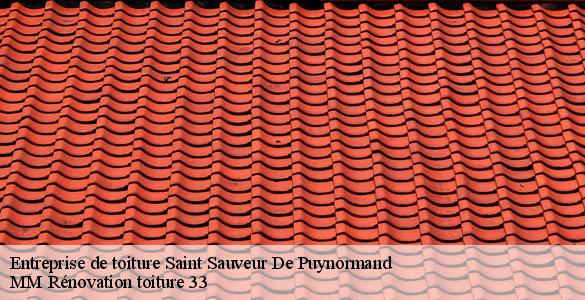 Entreprise de toiture  saint-sauveur-de-puynormand-33660 MM Rénovation toiture 33