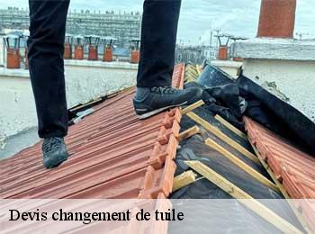 Devis changement de tuile  coubeyrac-33890 MM Rénovation toiture 33