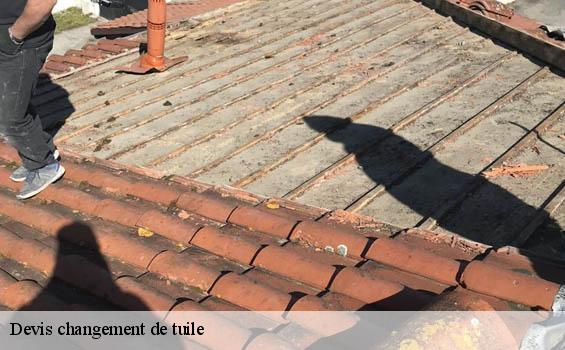 Devis changement de tuile  gaillan-en-medoc-33340 MM Rénovation toiture 33