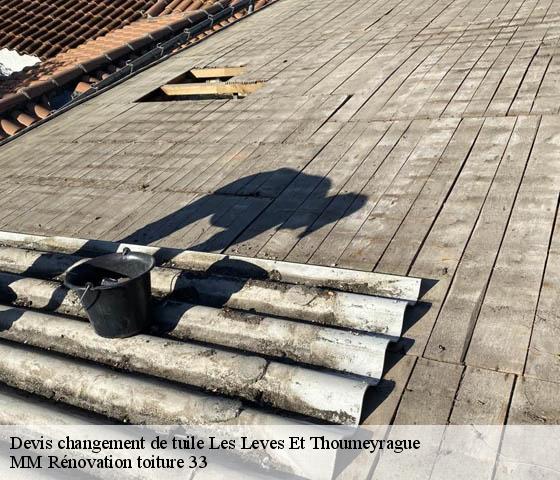 Devis changement de tuile  les-leves-et-thoumeyrague-33220 MM Rénovation toiture 33