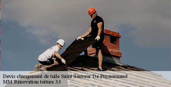 Devis changement de tuile  saint-sauveur-de-puynormand-33660 MM Rénovation toiture 33