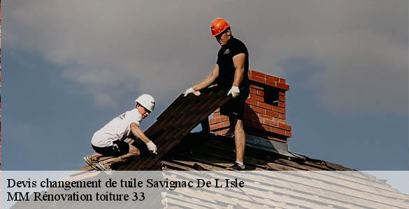 Devis changement de tuile  savignac-de-l-isle-33910 MM Rénovation toiture 33