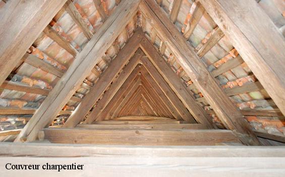 Couvreur charpentier  tabanac-33550 MM Rénovation toiture 33