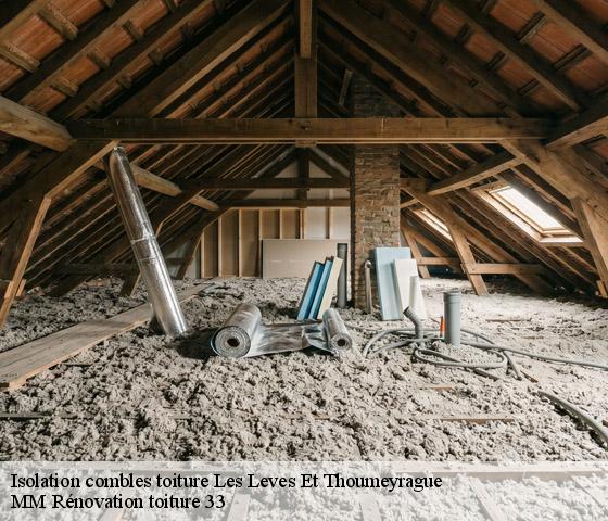 Isolation combles toiture  les-leves-et-thoumeyrague-33220 MM Rénovation toiture 33