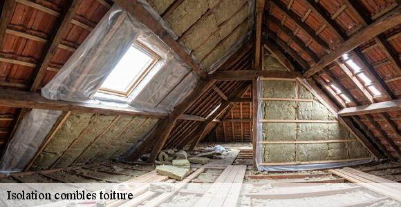 Isolation combles toiture  le-puy-33580 MM Rénovation toiture 33