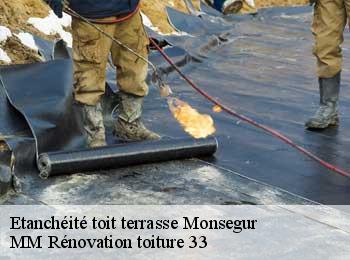 Etanchéité toit terrasse  monsegur-33580 MM Rénovation toiture 33