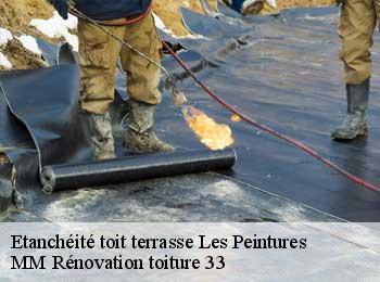 Etanchéité toit terrasse  les-peintures-33230 MM Rénovation toiture 33