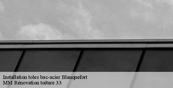 Installation toles bac-acier  blanquefort-33290 MM Rénovation toiture 33