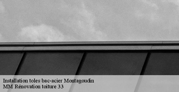 Installation toles bac-acier  montagoudin-33190 MM Rénovation toiture 33